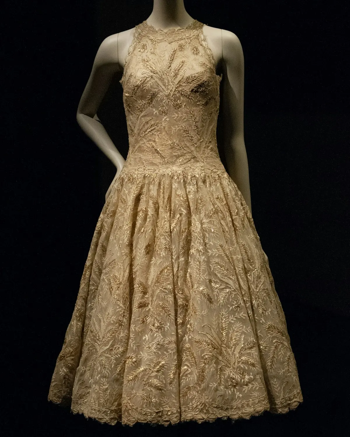 Model wearing an evening gown from the RainbowTex formalwear line